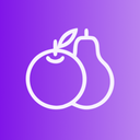 Fruition Services logo